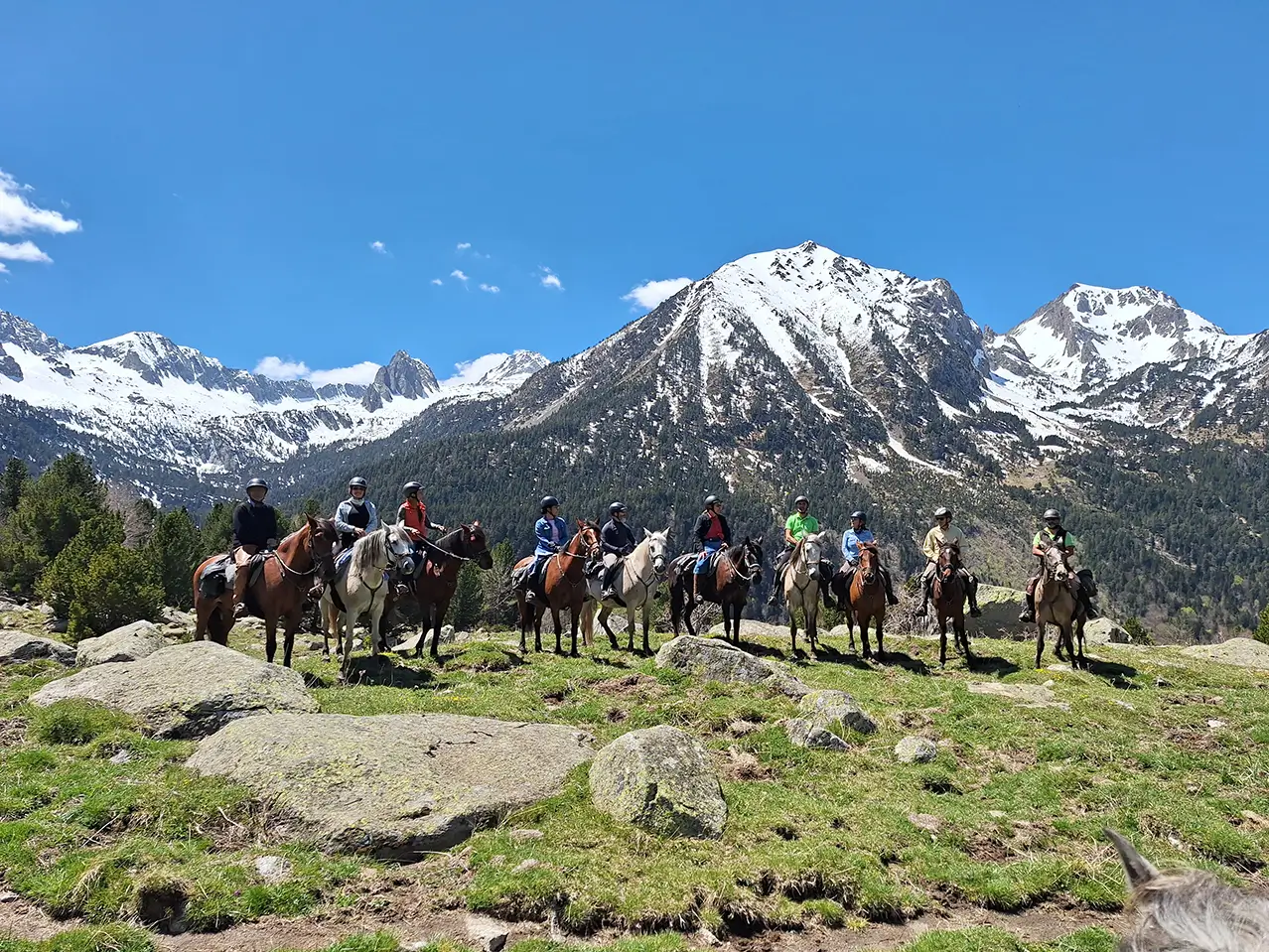 Aneto example input image